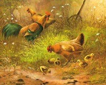 unknow artist Cocks 100 oil painting image